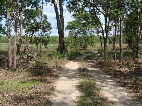 Djukbinj National Park - Kawana Tourism 0