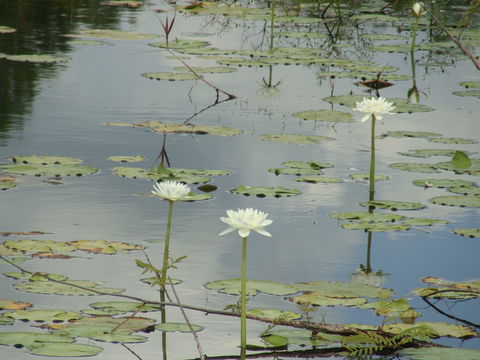Djukbinj National Park - Kawana Tourism 1
