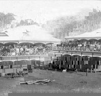 Don Dorrigo and Guy Fawkes Historical Society Museum - Kawana Tourism