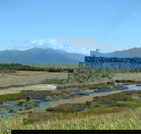 Eubenangee Swamp National Park