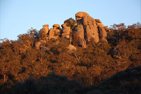 Evans Crown Nature Reserve - Kawana Tourism 0