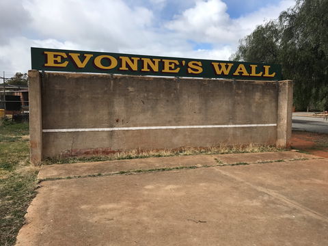 Evonne Goolagong-Cawley Wall - Kawana Tourism 1