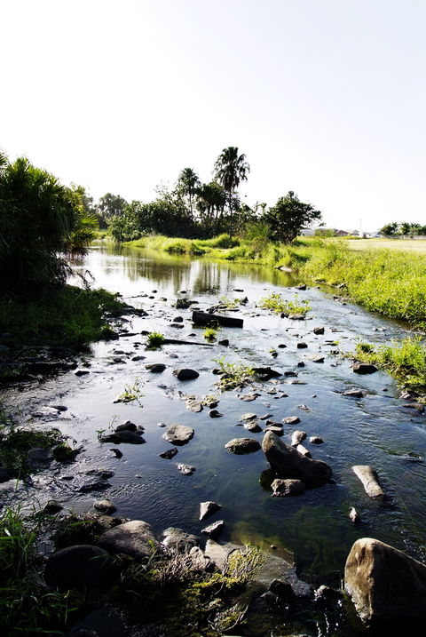 Gooseponds, North Mackay - Kawana Tourism 2