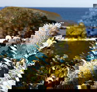Green Island Walking Track - Kawana Tourism