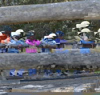 Harlow Park Horse Riding - Kawana Tourism