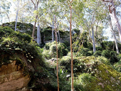 Haunted Point Loop Walk - Kawana Tourism 0