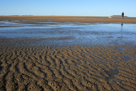 Illawong Beach - Kawana Tourism 0