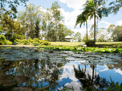 Kholo Gardens - Kawana Tourism 1