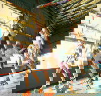 Lismore Skating and Putt Putt - Kawana Tourism