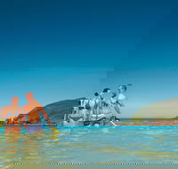 Llewellyn Dive Site - Kawana Tourism