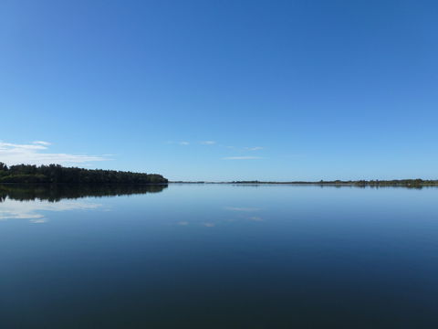 Manning River - Kawana Tourism 0