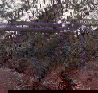 Marrinup Trail Dwellingup