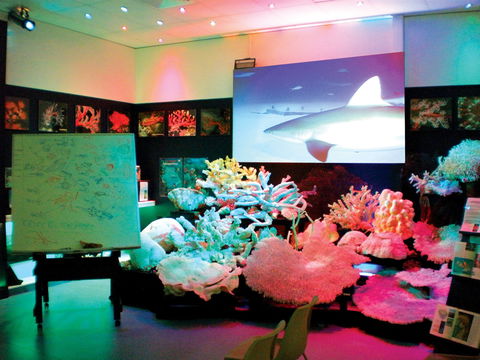 Marine Discovery Centre Hastings Point - Kawana Tourism 0