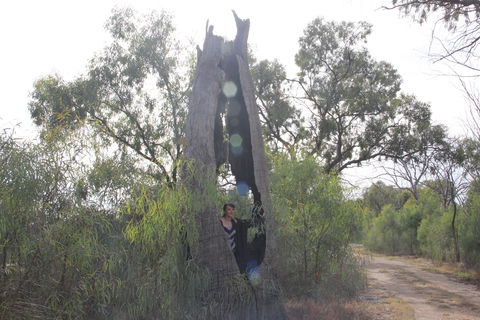 Martin Bend Wetland And Walking Trail - Kawana Tourism 1