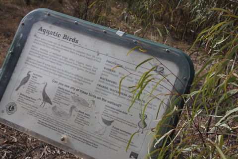 Martin Bend Wetland And Walking Trail - Kawana Tourism 2