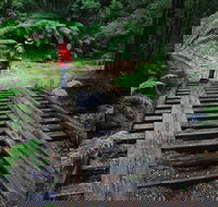 Montezuma Falls - Kawana Tourism