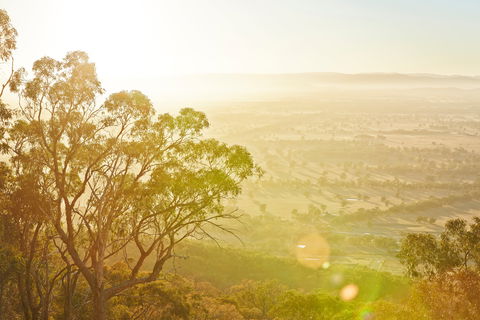 Mt Glenrowan Lookout Walk - Kawana Tourism 1