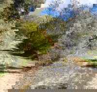 Naracoorte North Nature Park