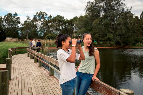 Newcastles Outdoor Adventures - Kawana Tourism 2