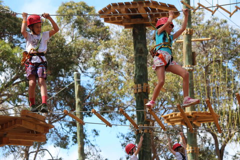 Next Level Monkey Business - Kawana Tourism 0