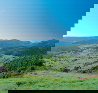 Numinbah Section Springbrook National Park - Kawana Tourism