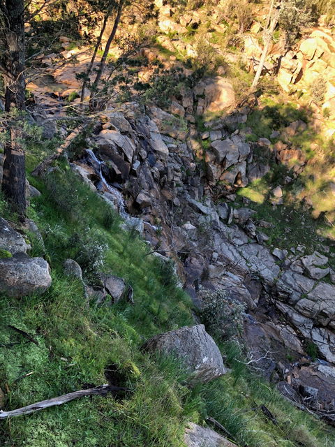 Pine Gully Nature Trail - Kawana Tourism 0