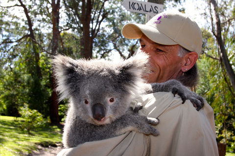 Potoroo Palace Native Animal Sanctuary - Kawana Tourism 2