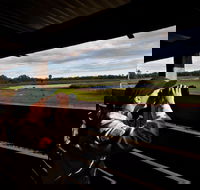 Reed Beds Bird Hide Boardwalk - Kawana Tourism