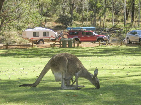 Serpentine - Kawana Tourism 1