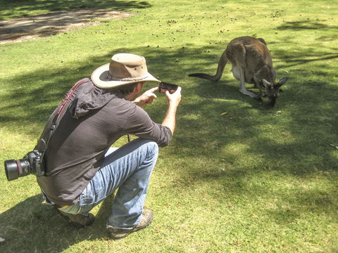 Serpentine - Kawana Tourism 2