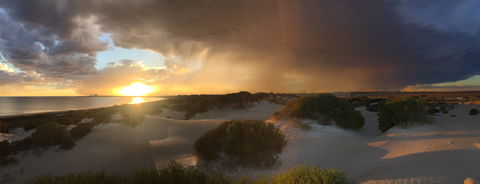 Shelly Beach Dune Walk Trail - Kawana Tourism 2