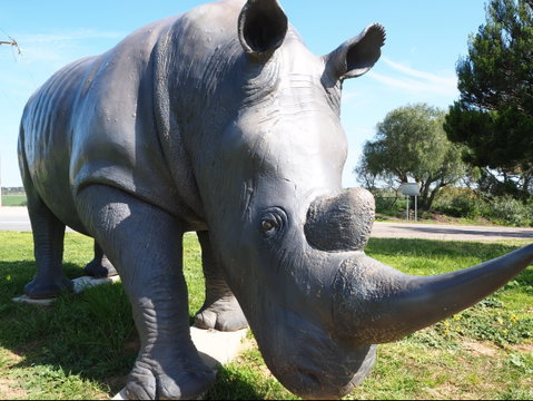Tailem Bend Rhino Park And Dickson Reserve - Kawana Tourism 0