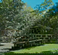 Terania Creek Picnic Area - Kawana Tourism