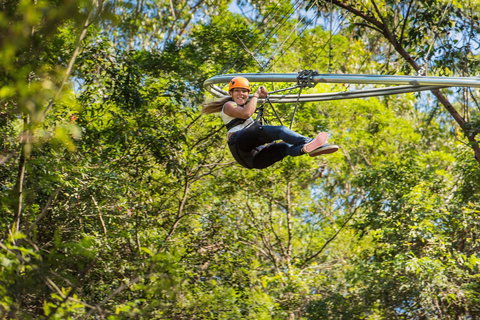 TreeTop Crazy Rider - Kawana Tourism 0
