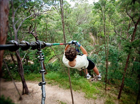 TreeTop Challenge - Kawana Tourism 0