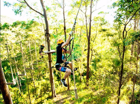 TreeTop Challenge - Kawana Tourism 1
