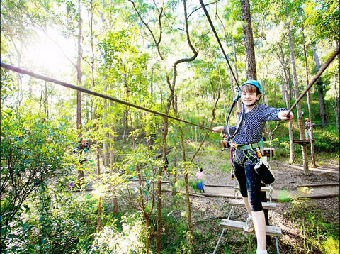 TreeTop Challenge - Kawana Tourism 2