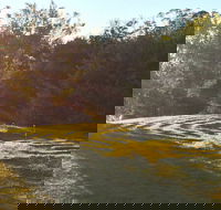 Vortex Healing Centre