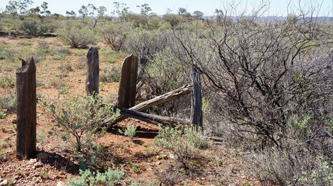 Winnecke Goldfield Cemetery - Kawana Tourism 2