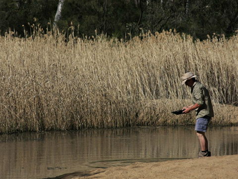 Wooldridge Recreation And Fossicking Reserve - Kawana Tourism 2