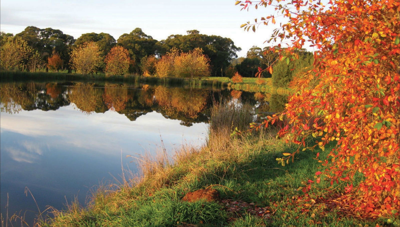 Alpine NSW Kawana Tourism