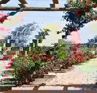 Australian Inland Botanic Gardens - Kawana Tourism