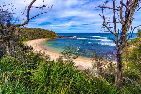 Bendalong (Inyadda) Beach - Kawana Tourism 0