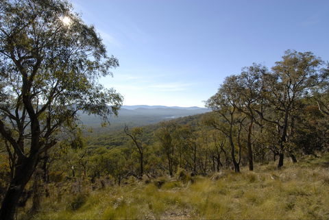 Bunyip State Park - Kawana Tourism 0