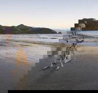 Cape Hillsborough National Park - Kawana Tourism