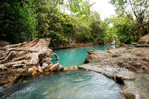 Cardwell Spa Pool - Kawana Tourism 1