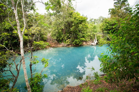 Cardwell Spa Pool - Kawana Tourism 2