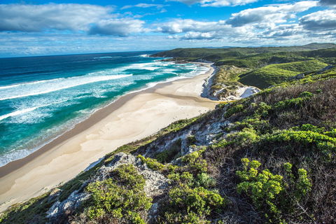 Conspicuous Cliff - Kawana Tourism 0