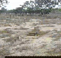 Culgoa Connellys Track - Kawana Tourism