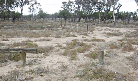Culgoa Connellys Track - Kawana Tourism 0